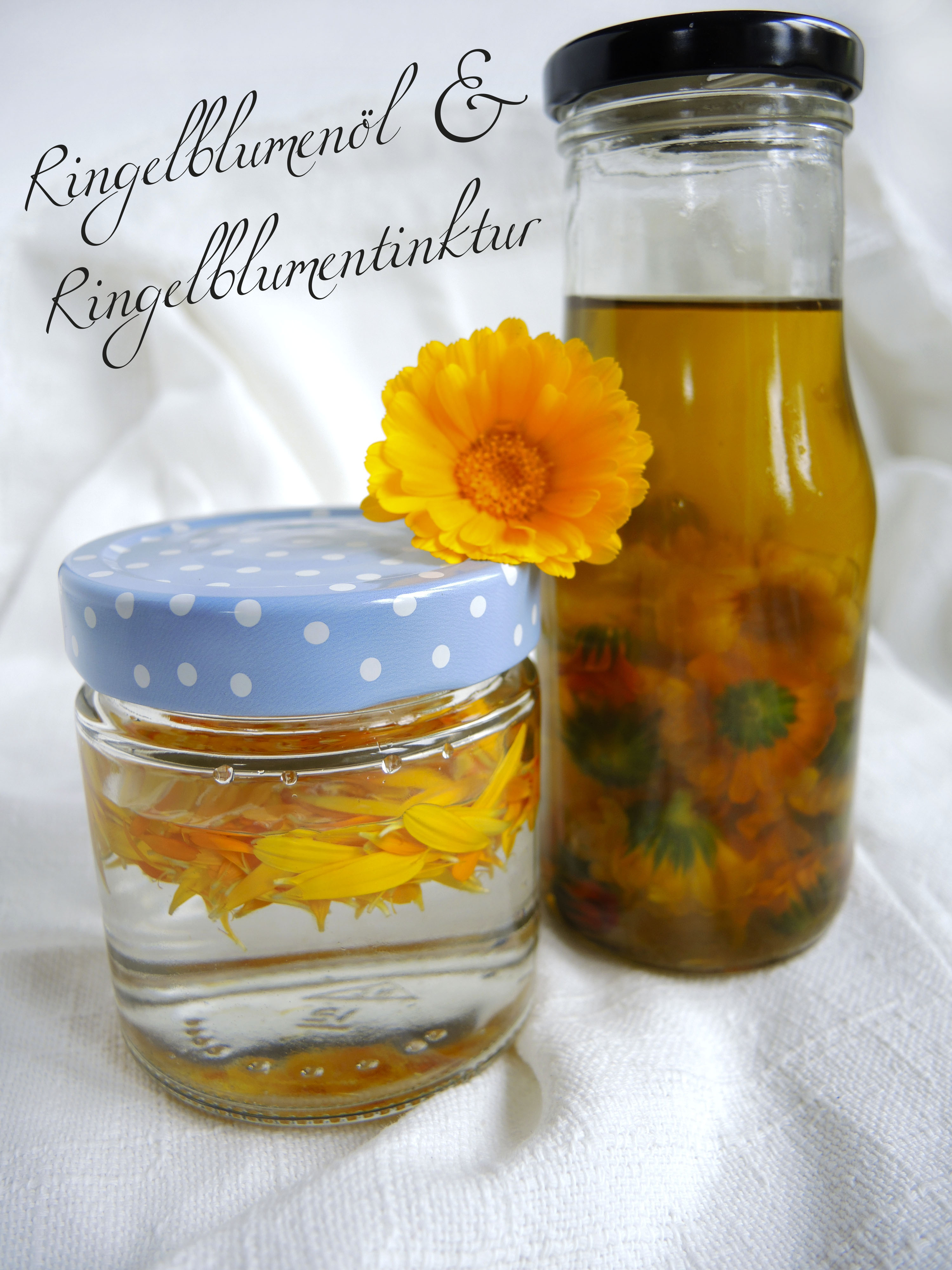 Die Ringelblume - Der Star der Naturheilkunde -